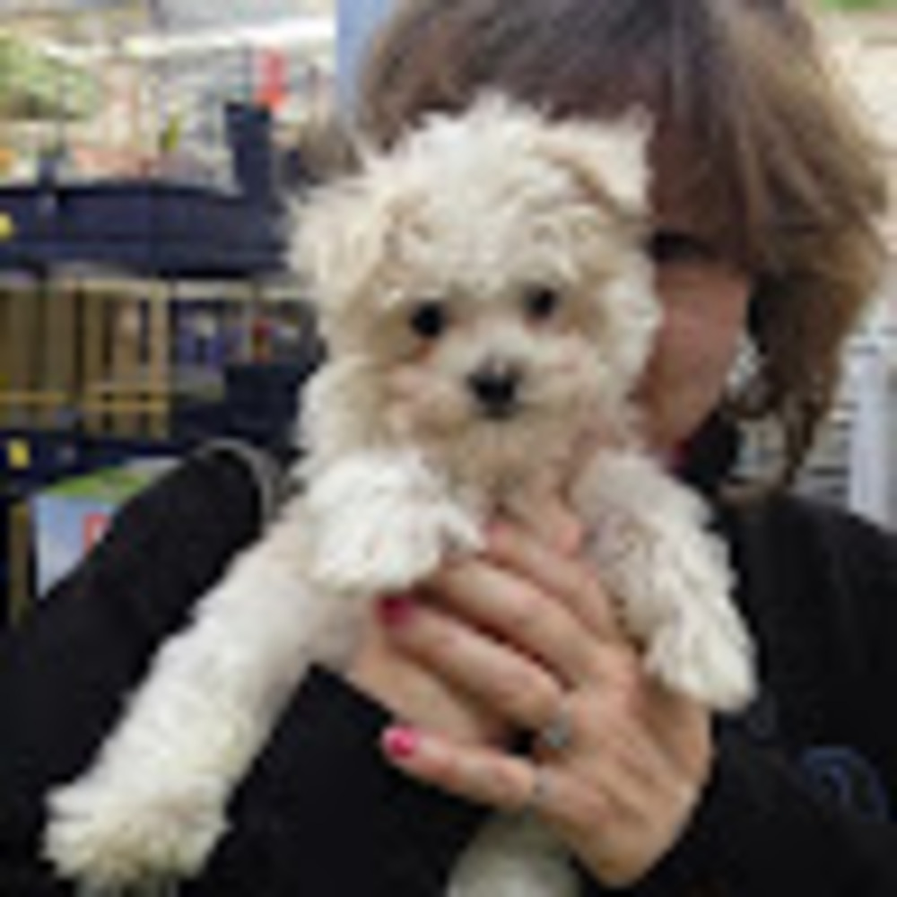Meet your Posher, Vickie